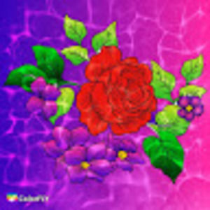 Meet your Posher, Ava